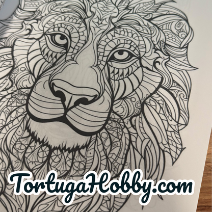 Coloring Book - My Animal Designs Adult Coloring Book