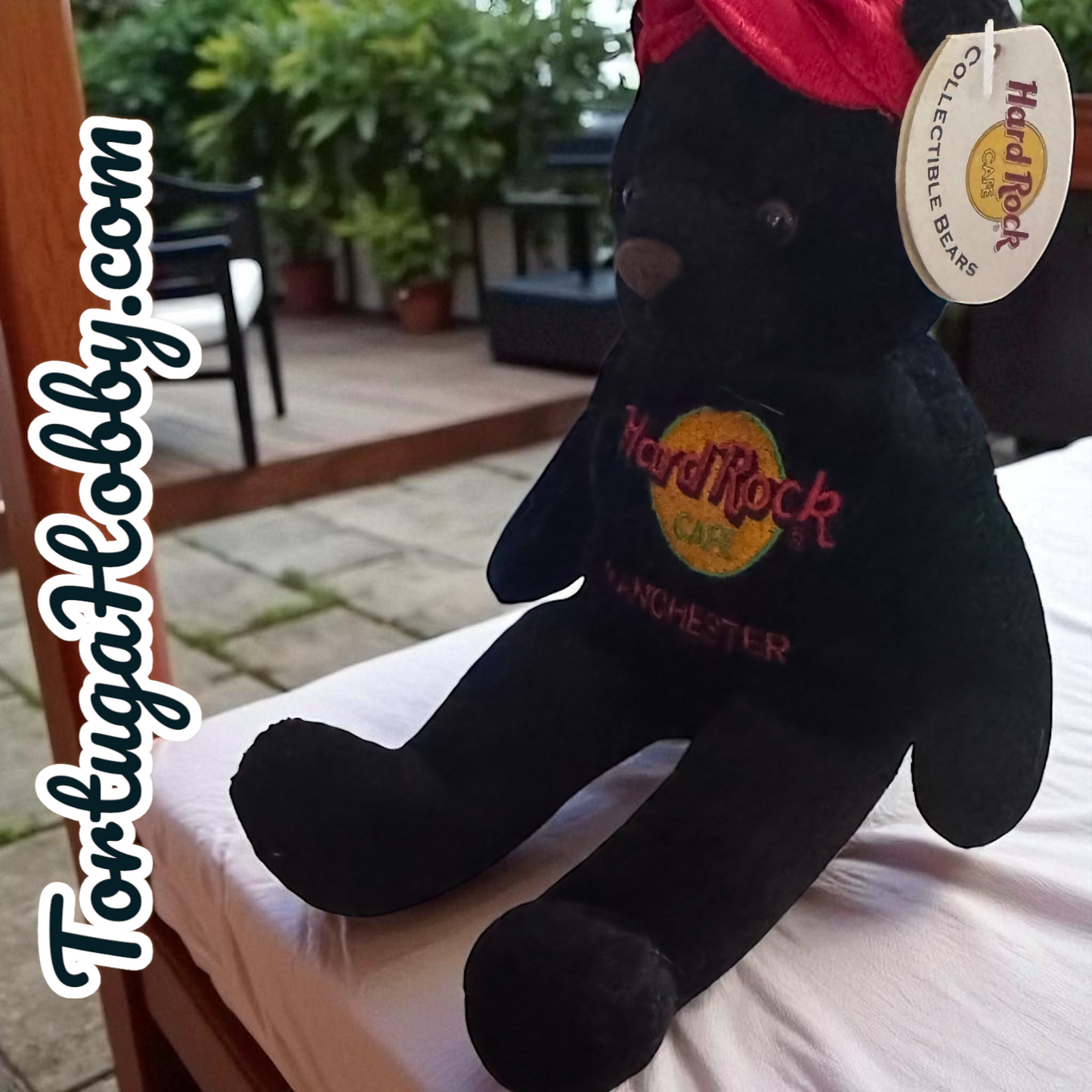 2005 - Hard Rock Café Bear - Manchester - Charlie Beara - All Is One