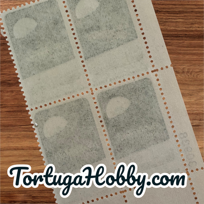 1969 - Apollo 8 Moon Orbit - 6 Cent Stamp