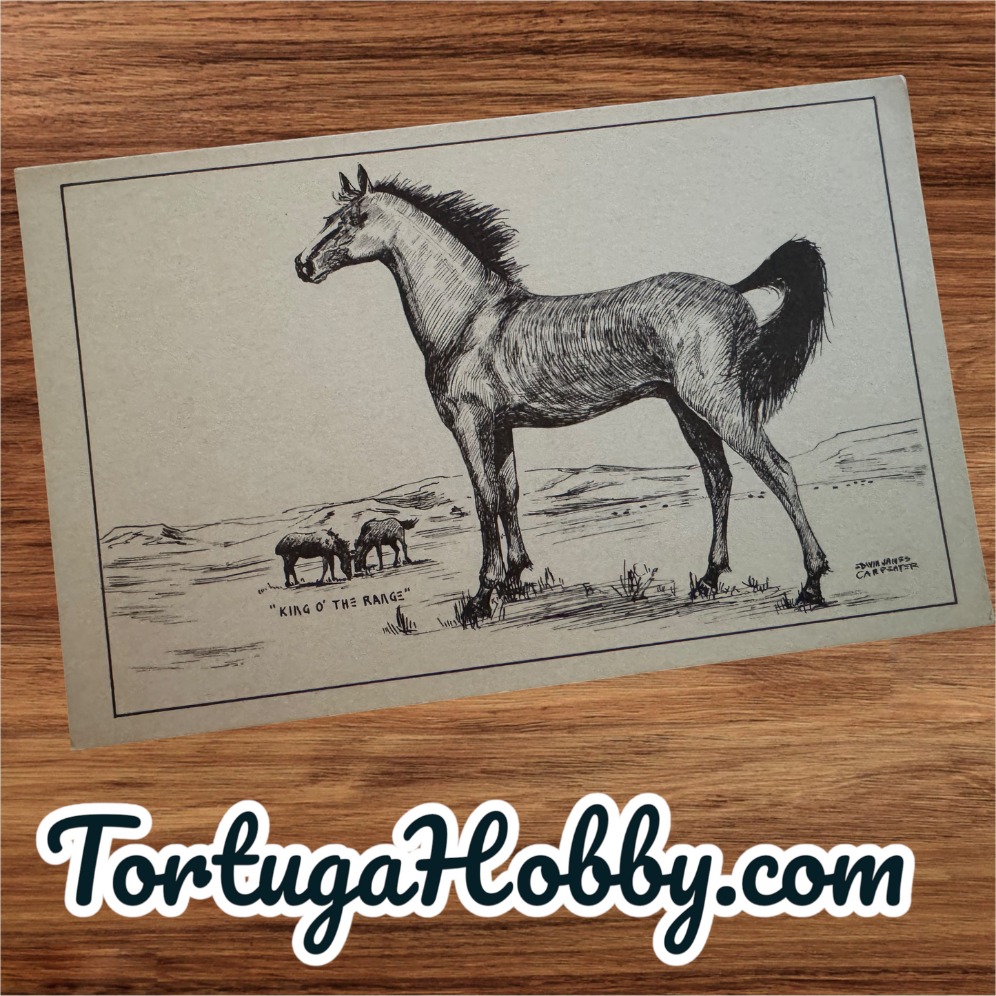 1944 - King O’ The Range - Edwin James Carpenter Post Card