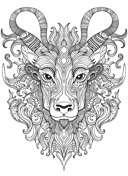 Coloring Book - My Animal Designs Adult Coloring Book