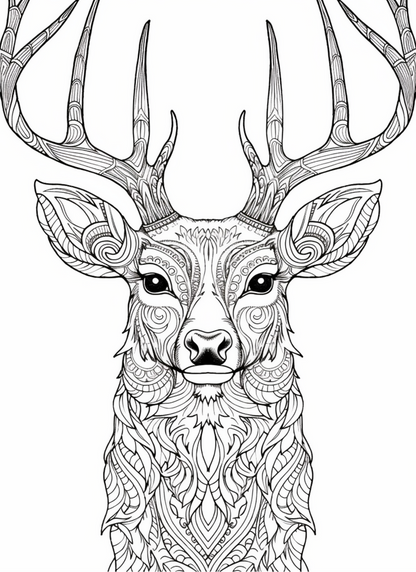 Coloring Book - My Animal Designs Adult Coloring Book