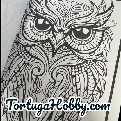 Owls - Adult Coloring Book