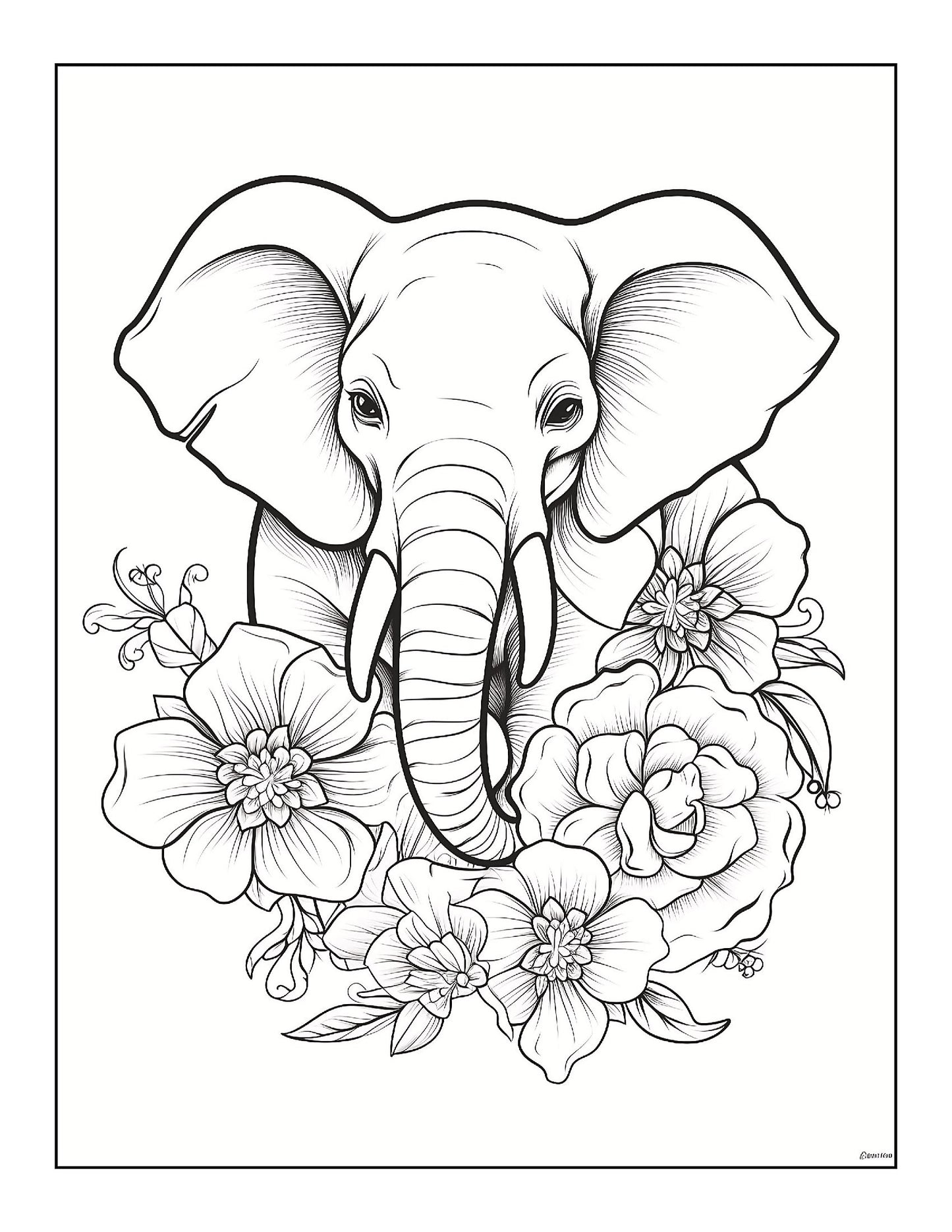 Coloring Book - Blossoms & Beasts