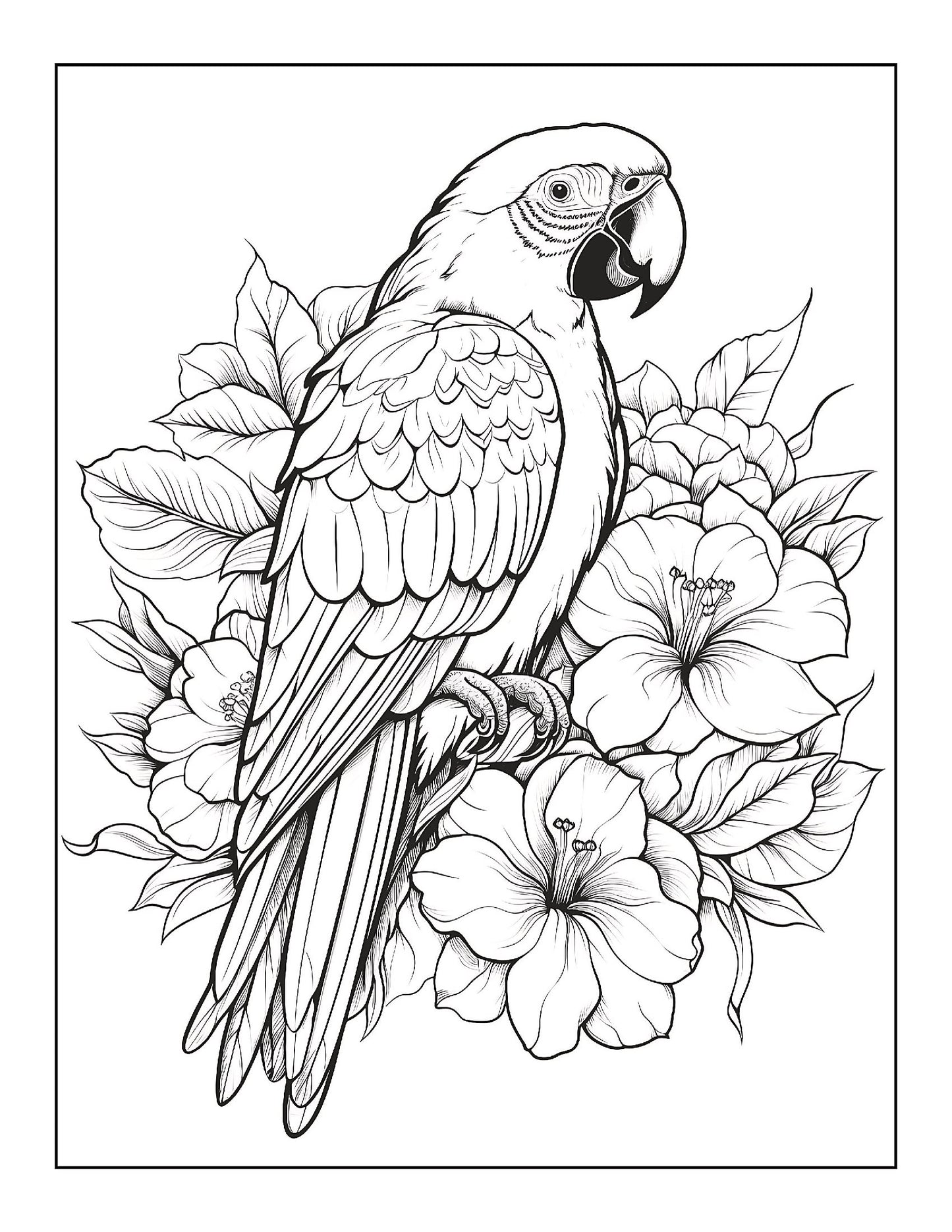 Coloring Book - Blossoms & Beasts