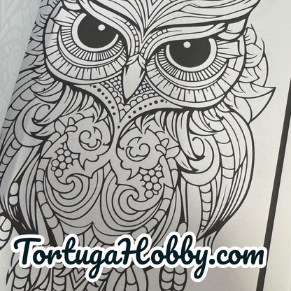 Owls - Adult Coloring Book