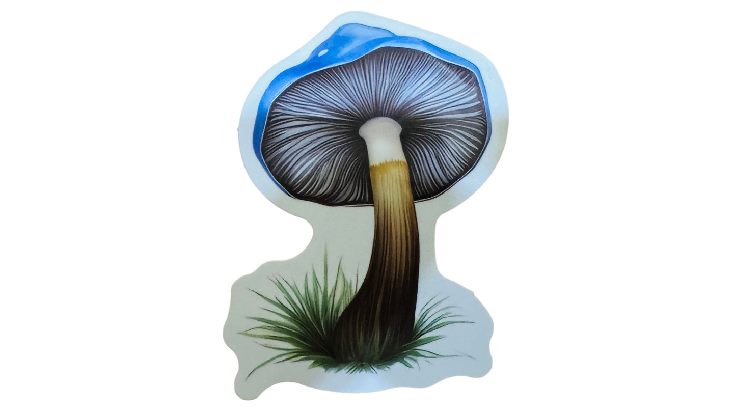 Keyring - Mushroom Sticker & Keyring Gift Pack