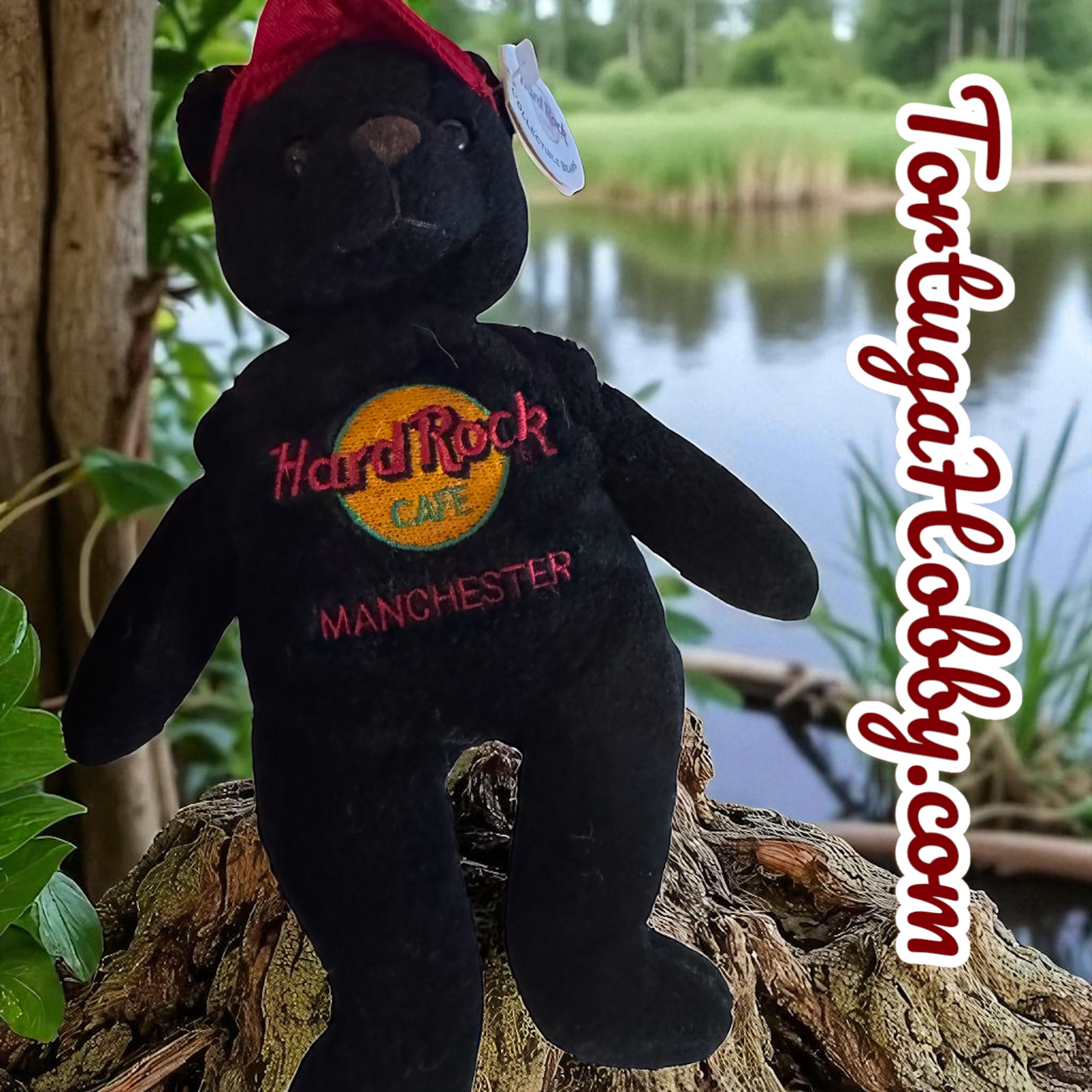 2005 - Hard Rock Café Bear - Manchester - Charlie Beara - All Is One