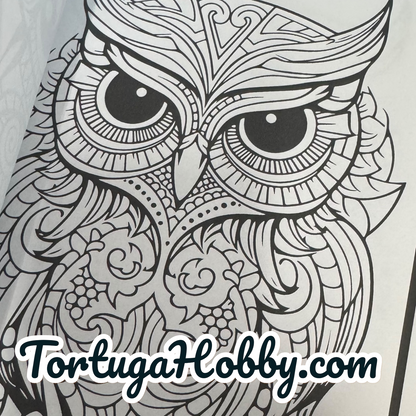 Owls - Adult Coloring Book