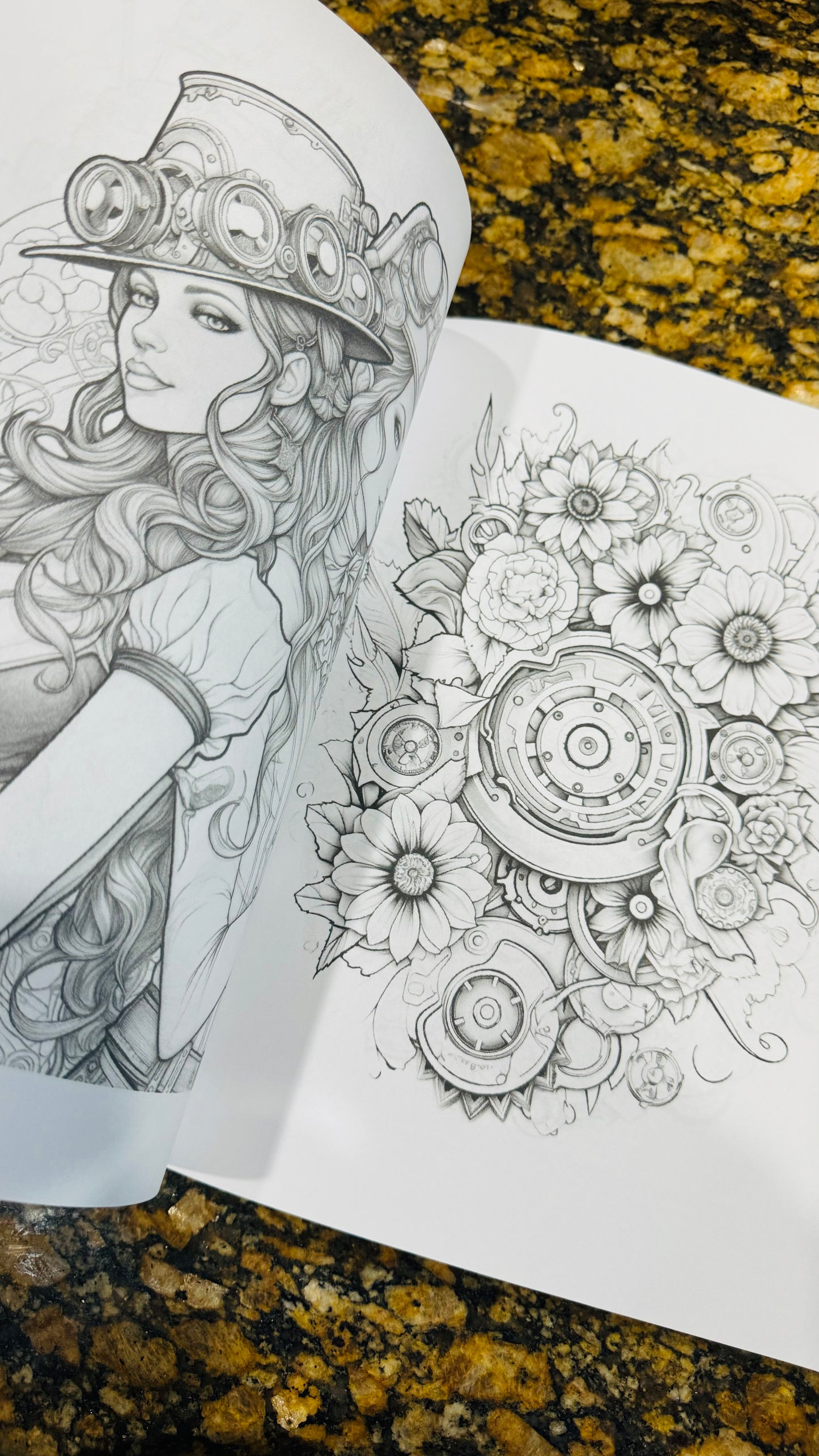 Steampunk Dreams - A Coloring Adventure