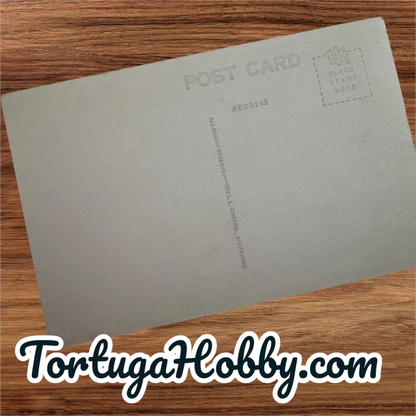 1938 - Little Deer with a Bear Behind - L.L. Cook Company Post Card