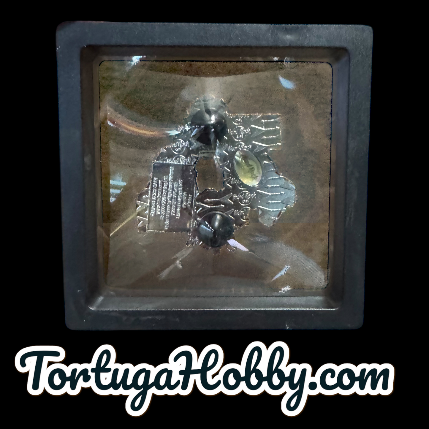 2004 - Hard Rock Cafe - KISS - HRC PCC - Members Rock