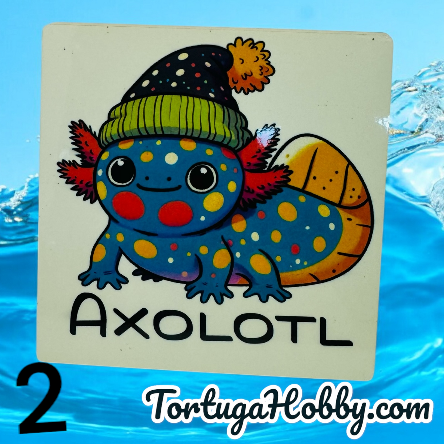 The Axolotl Coasters Collection