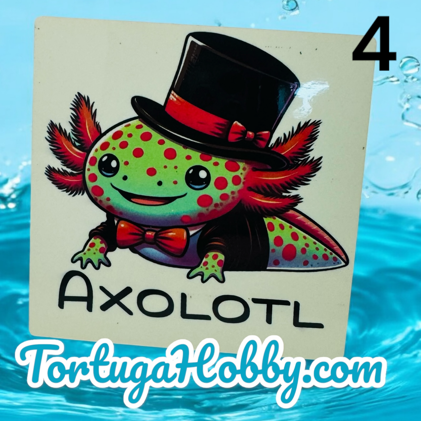 The Axolotl Coasters Collection