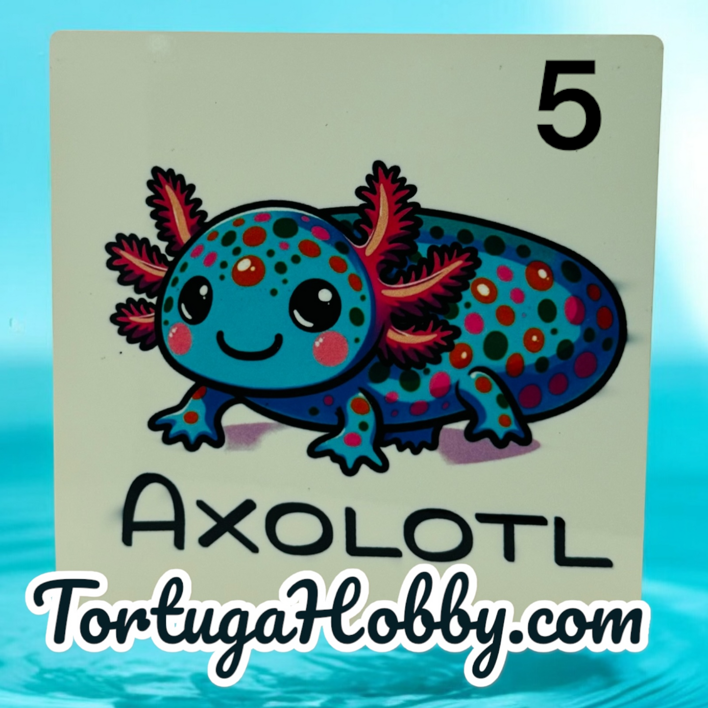 The Axolotl Coasters Collection