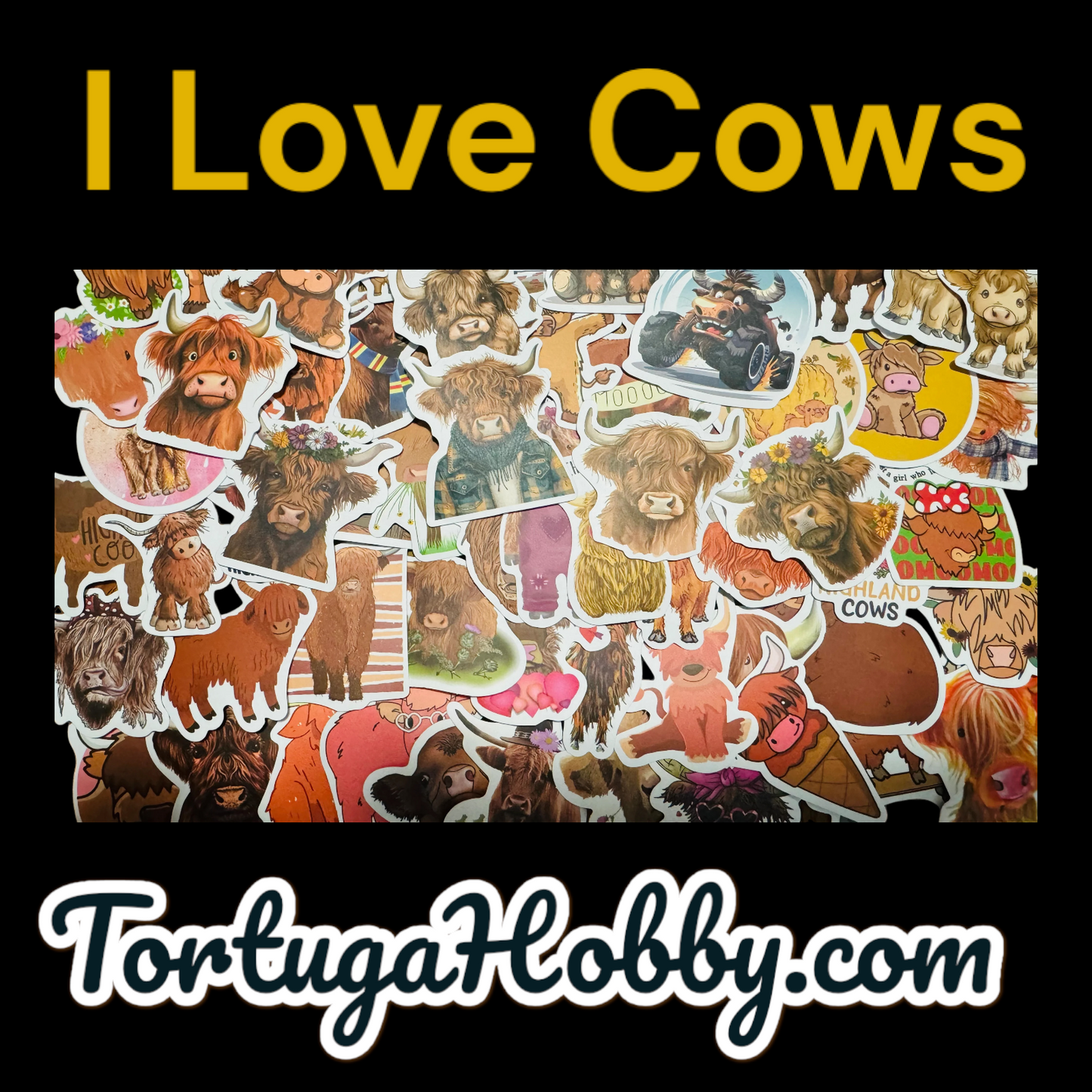 25 Adorable Cows - Show Your Love for Adorable Cows on Laptops, Water Bottles, Skateboards, Lockers and More