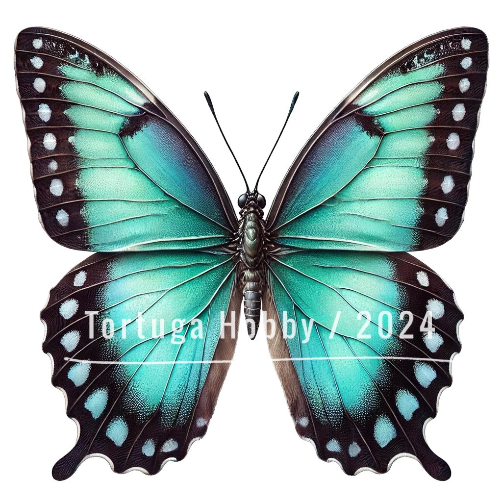 Digital butterflies, butterfly art, digital download butterflies, craft project butterflies, artistic butterfly images, high-resolution butterfly images, scrapbooking butterflies, commercial use butterfly images, digital art for crafts, butterfly clipart, butterfly PNG, instant download butterflies, DIY butterfly craft.