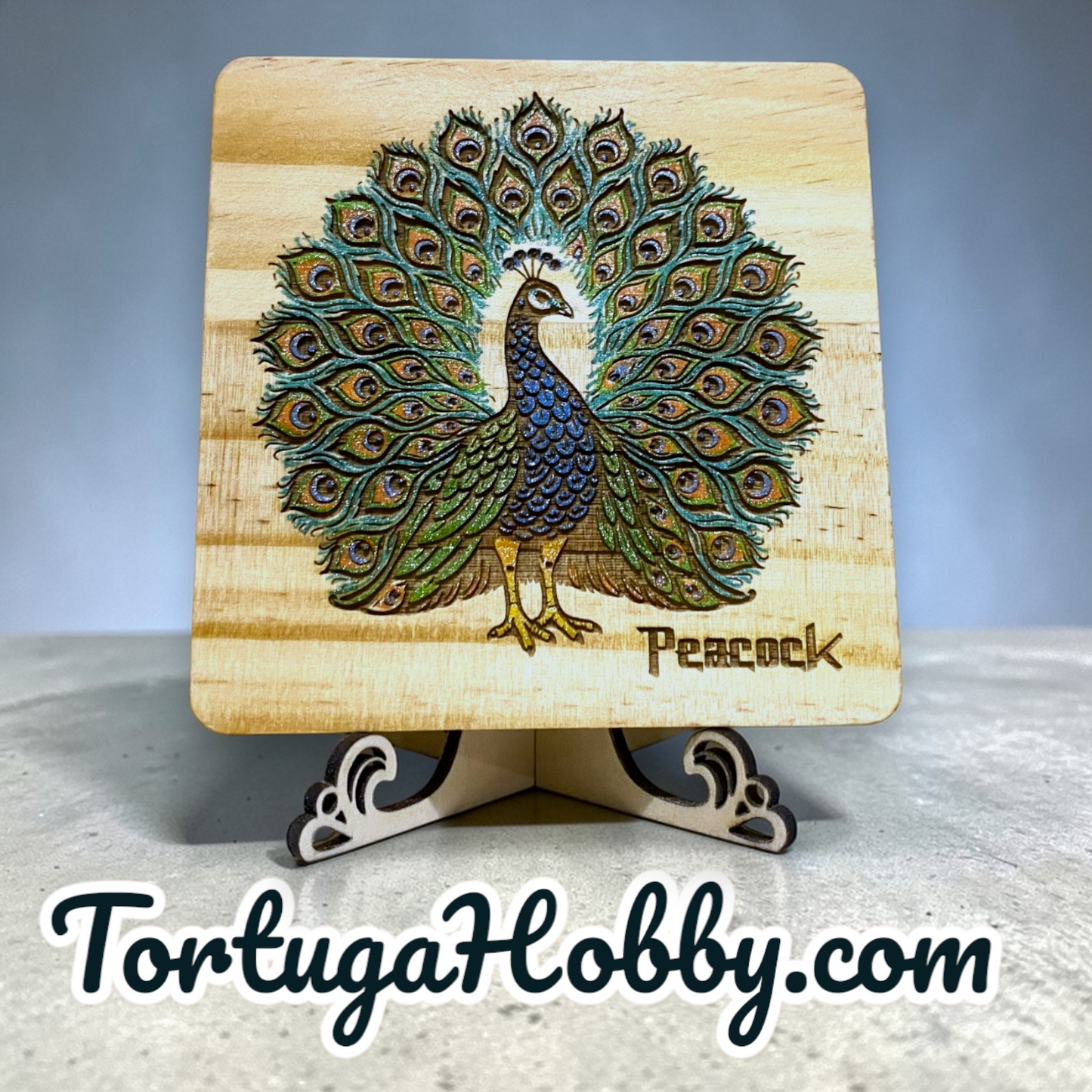 Feathered Friends Engraved and Hand-Painted Wood Bird Coasters