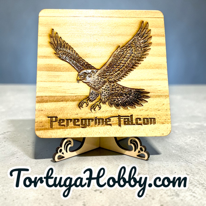 Feathered Friends Engraved and Hand-Painted Wood Bird Coasters
